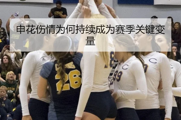 申花伤情为何持续成为赛季关键变量